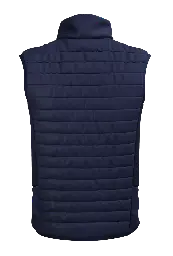 LBRFC Gilet Pro back.webp