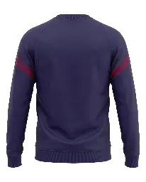 Crewneck pro - rear.webp