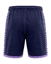 Team 33 Shorts Back.webp