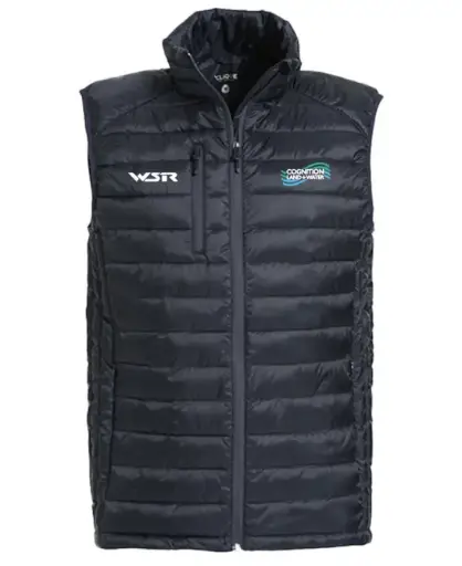WSR BTCC Team Gilet - Women