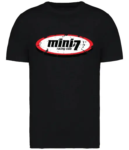 Mini 7 Distressed Print T-Shirt